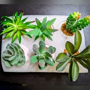Artificial Succulents